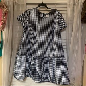 NWT J Crew navy gingham dress 3X